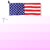 N-FL03(A)
